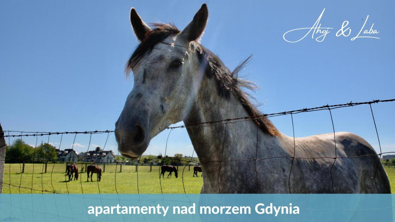 Laba - Basen, Blisko Plazy, Cisza, Taras, Parking, Bezplatne Wifi, Wyjatkowy! Apartment กดิเนีย ภายนอก รูปภาพ