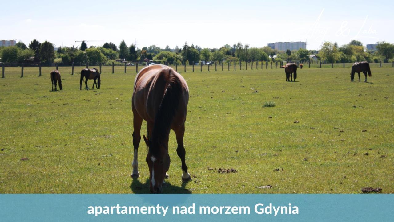 Laba - Basen, Blisko Plazy, Cisza, Taras, Parking, Bezplatne Wifi, Wyjatkowy! Apartment กดิเนีย ภายนอก รูปภาพ